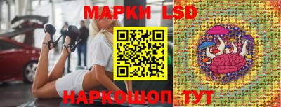 гидра Рыбинск