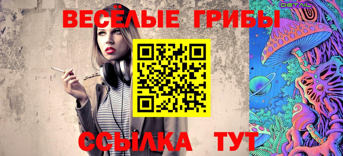 Павлово  Псилоцибиновые грибы MAGIC MUSHROOMS  Вход с VPN 