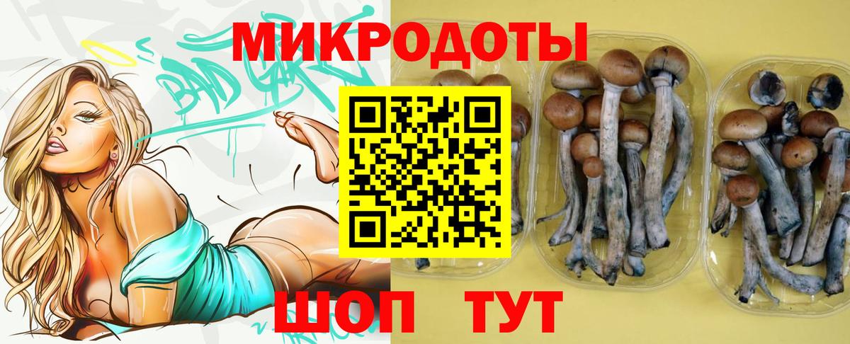 Псилоцибиновые грибы прущие грибы Павлово